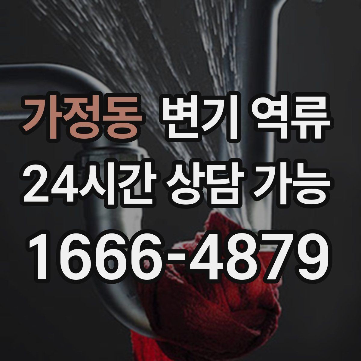 가정동 변기 역류 특정 변기만 반복되면 의심할 것