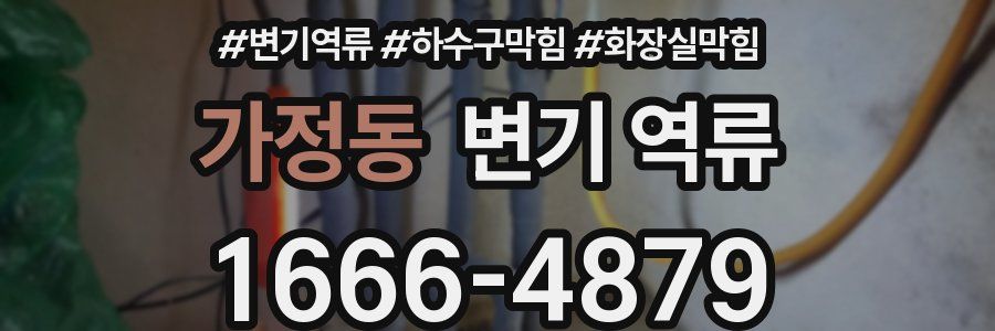 가정동 변기 역류