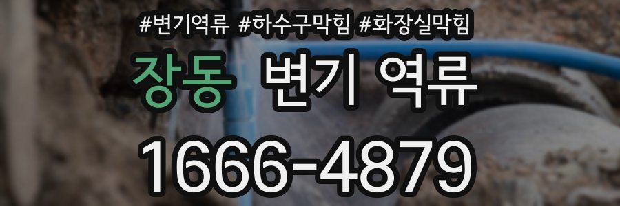 장동 변기 역류