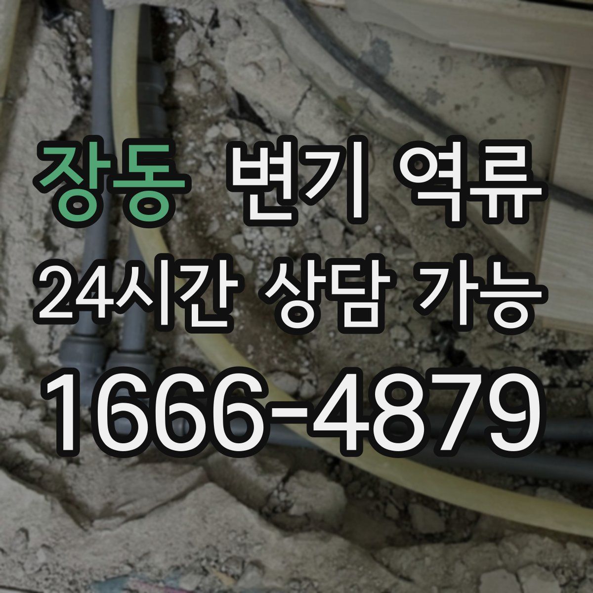 장동 변기 역류