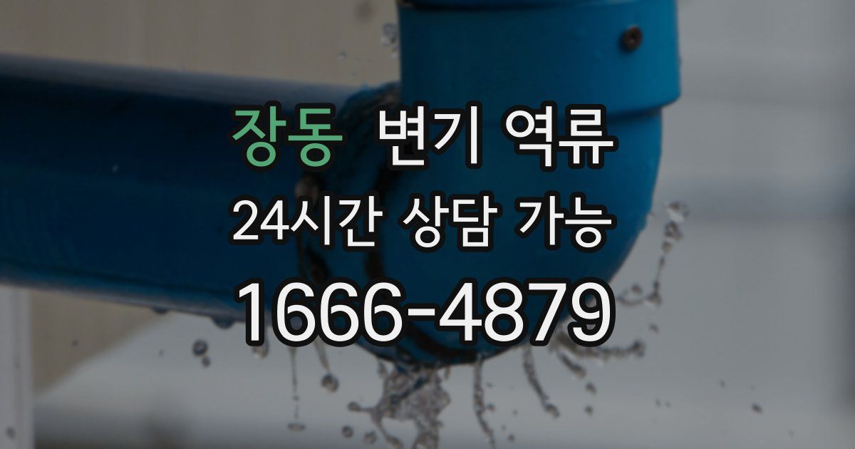 장동 변기 역류
