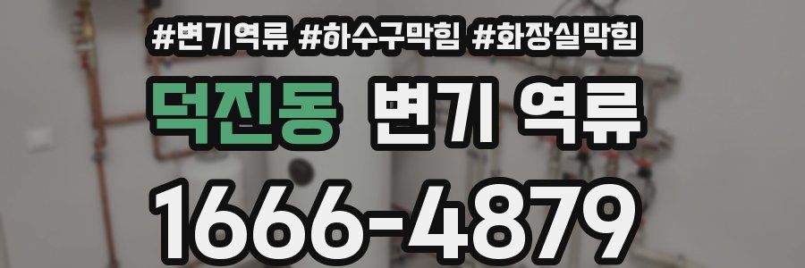 덕진동 변기 역류