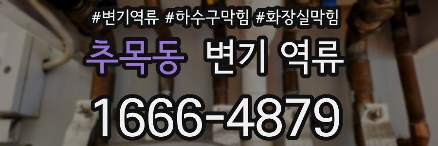 추목동 변기 역류