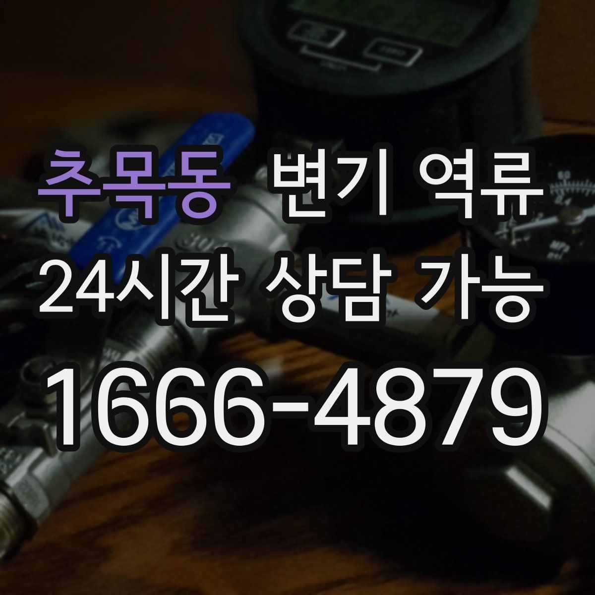 추목동 변기 역류