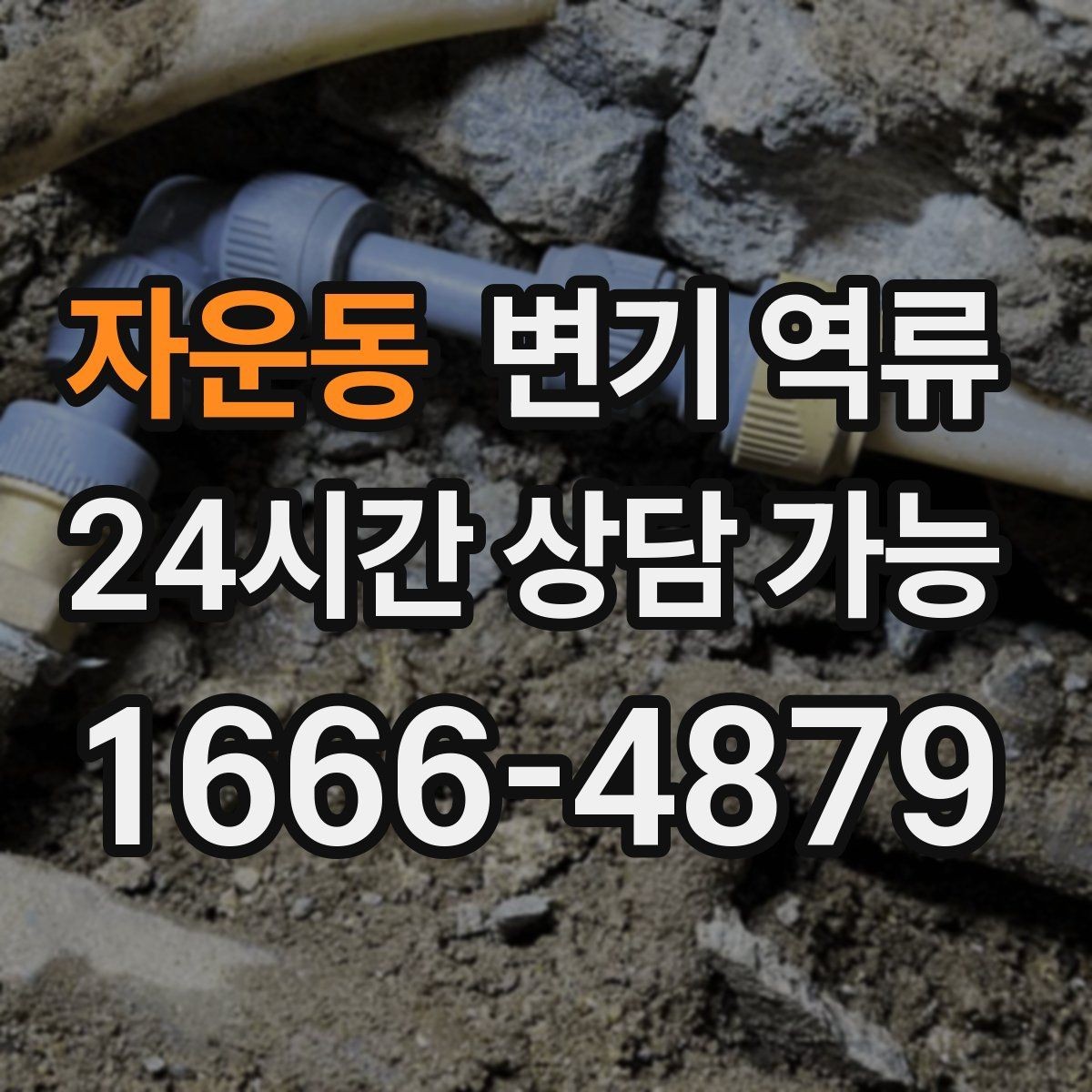 자운동 변기 역류 비 오는 날만 반복될 때 체크해야 할 것