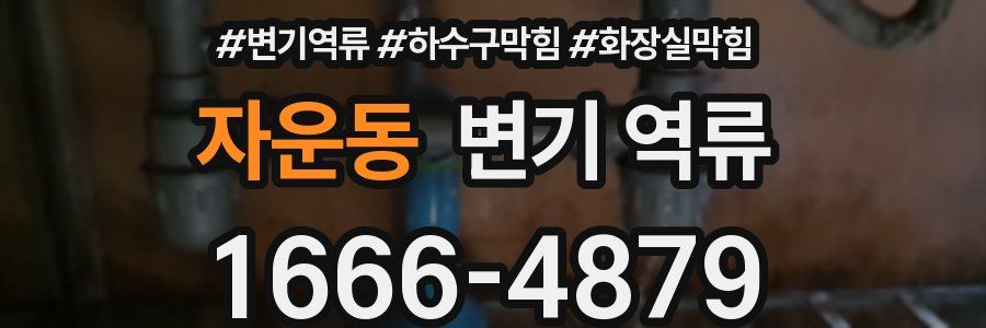 자운동 변기 역류