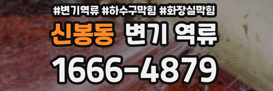 신봉동 변기 역류