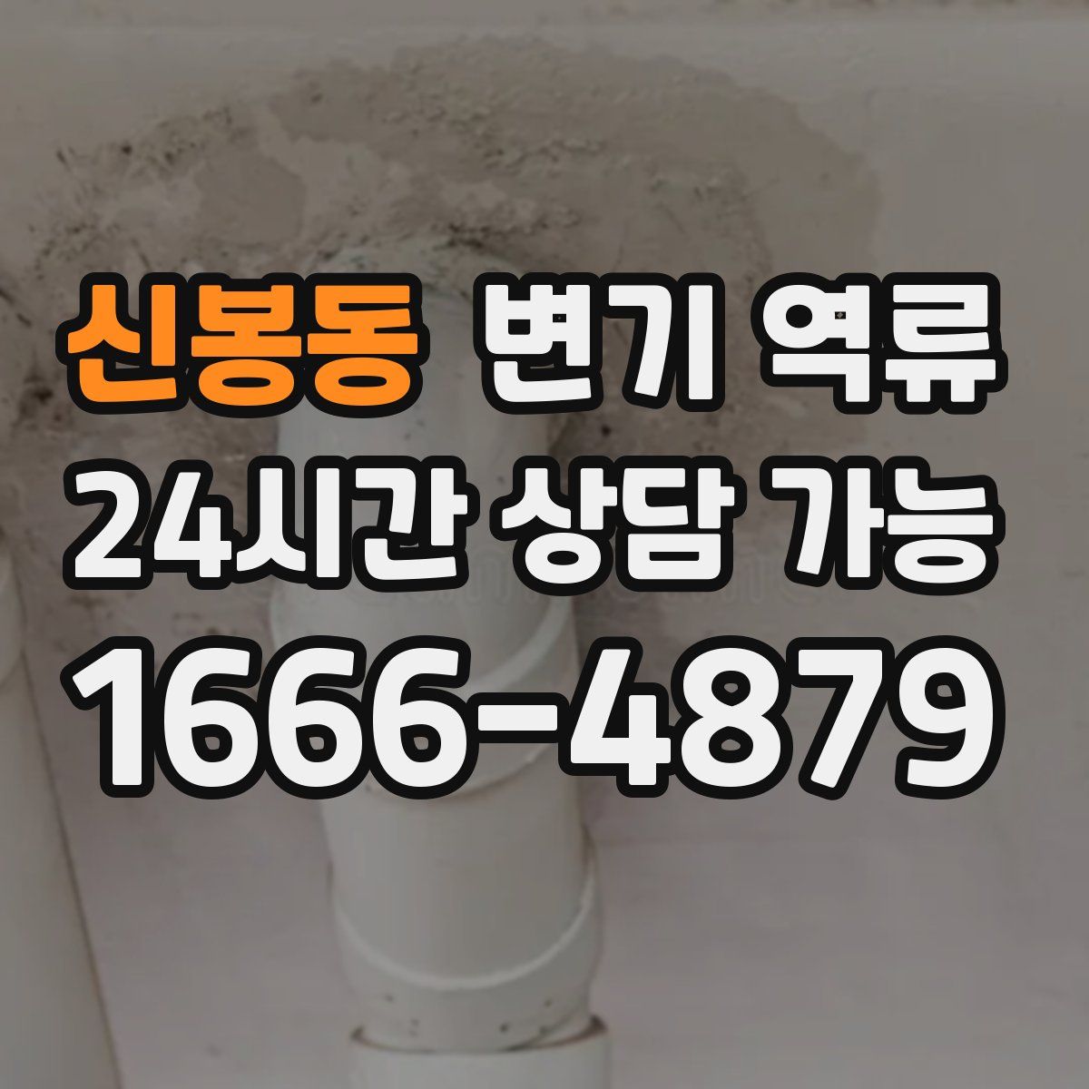 신봉동 변기 역류