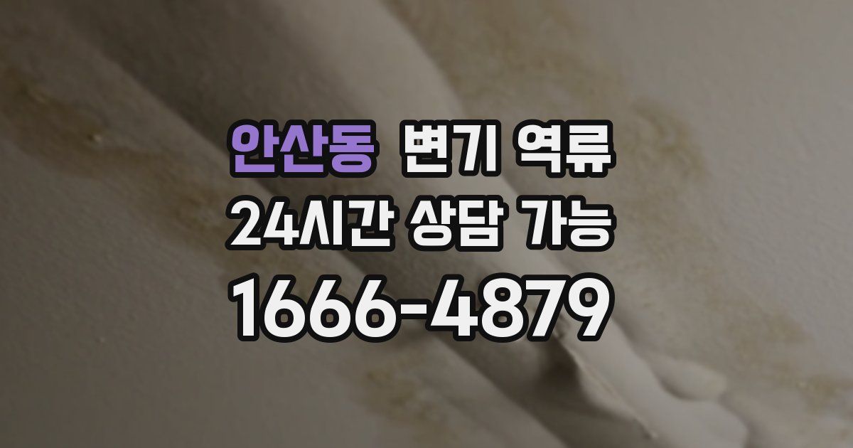 안산동 변기 역류