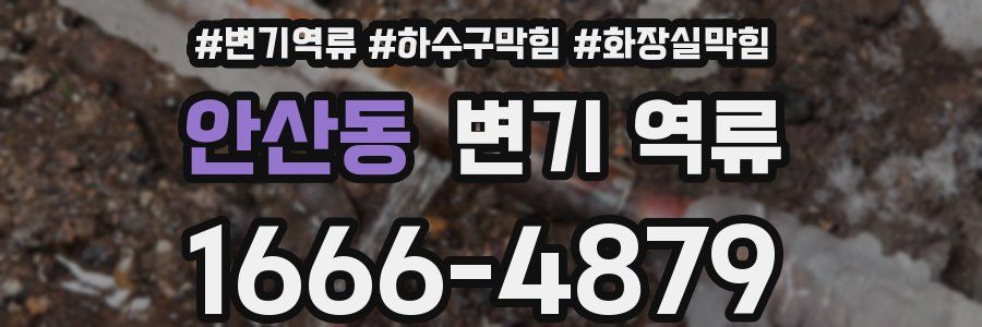 안산동 변기 역류