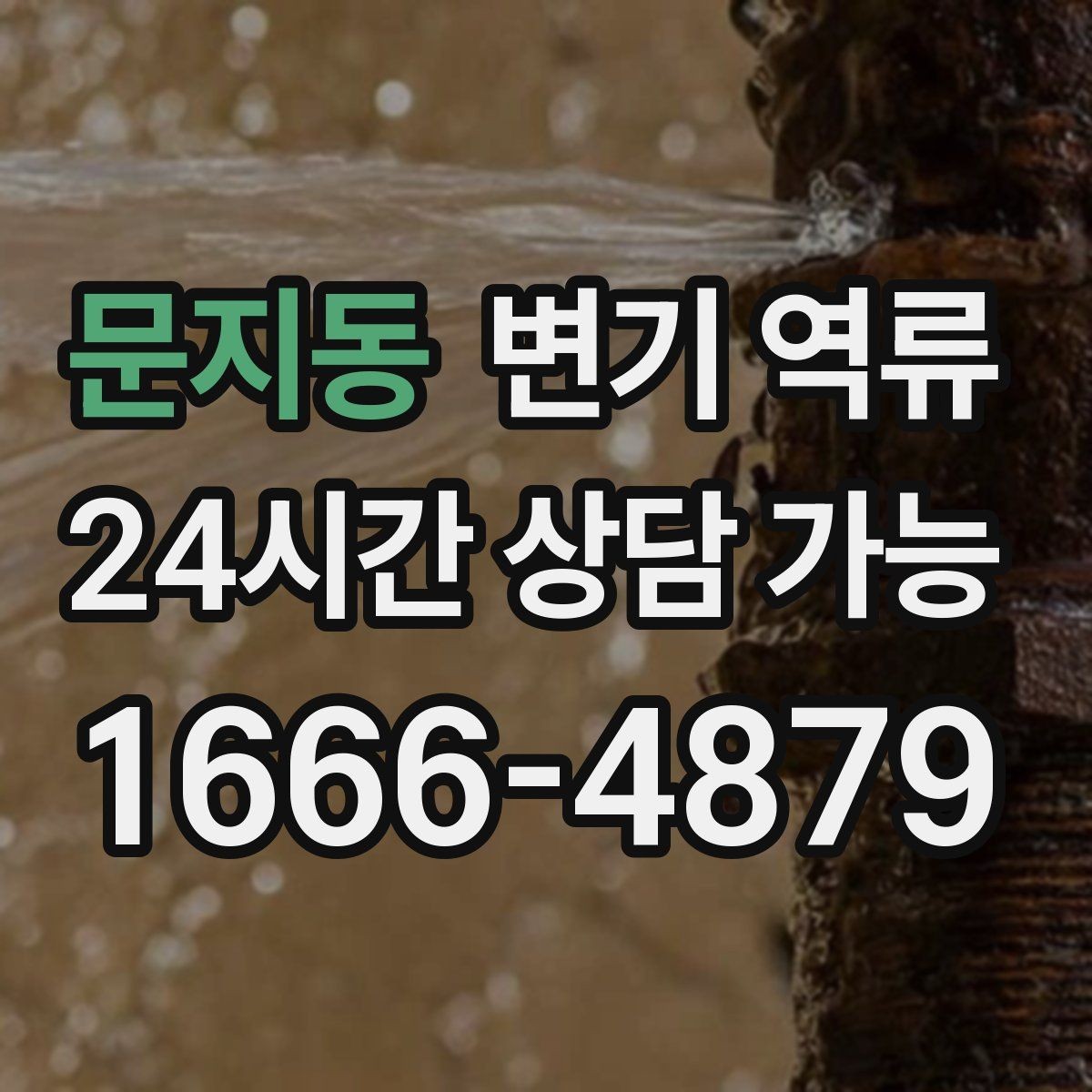문지동 변기 역류 아래층 피해를 막기 위한 우선 조치