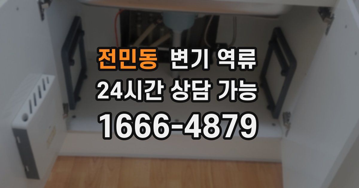 전민동 변기 역류