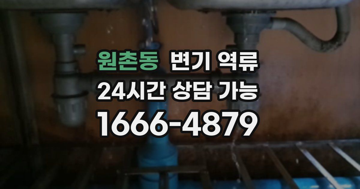 원촌동 변기 역류