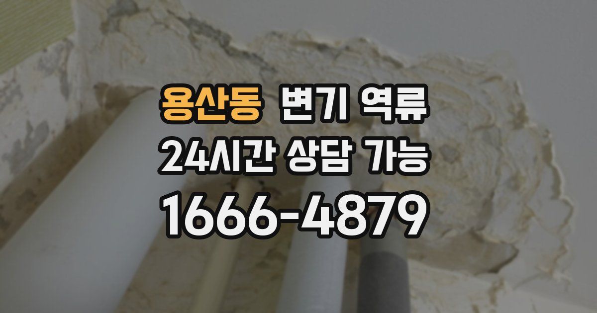 용산동 변기 역류