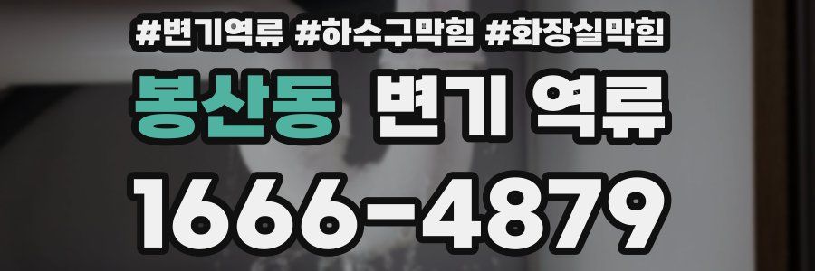 봉산동 변기 역류