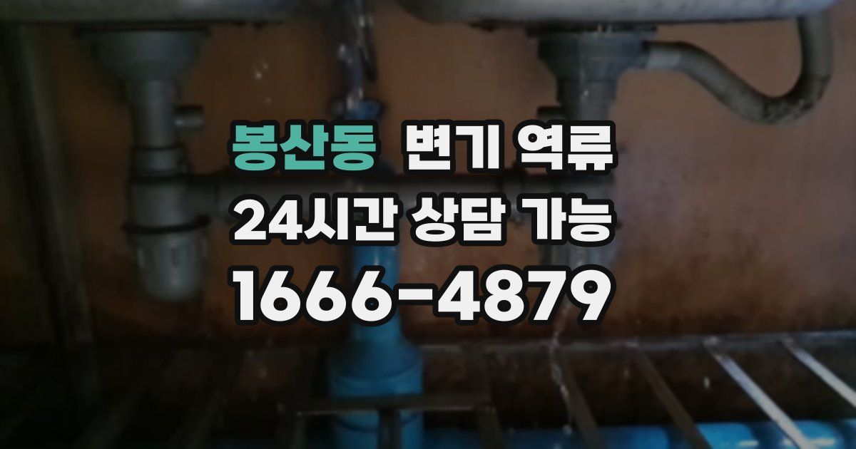 봉산동 변기 역류