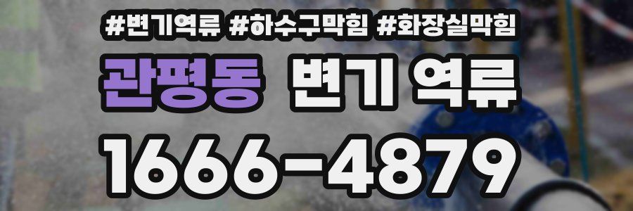 관평동 변기 역류