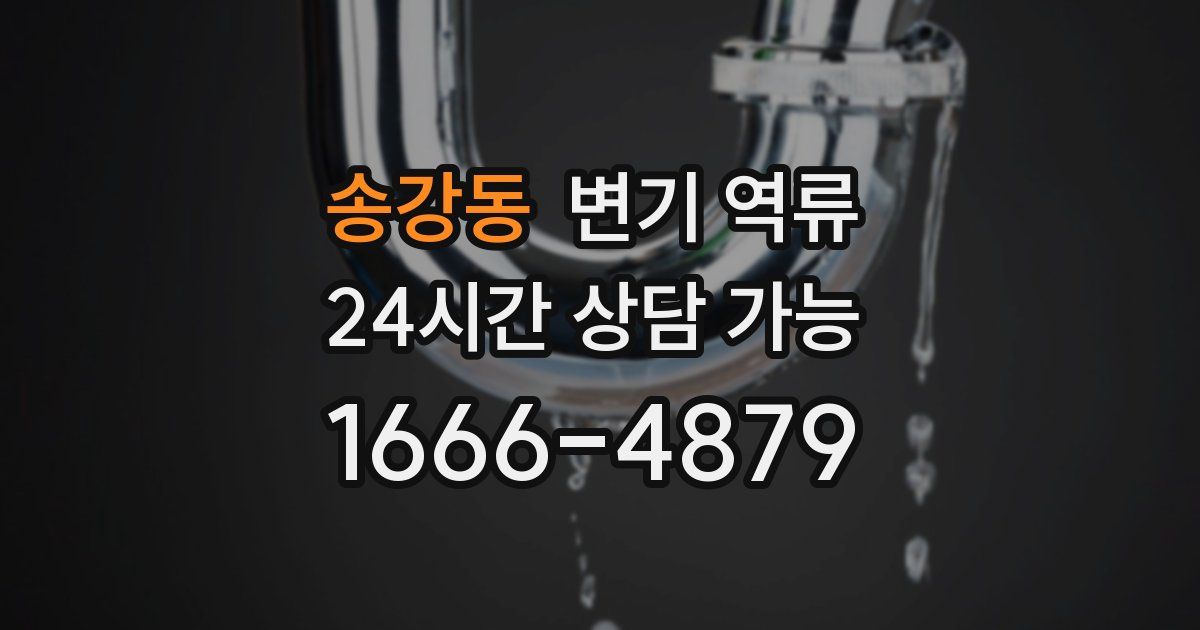 송강동 변기 역류