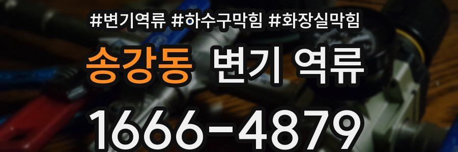 송강동 변기 역류