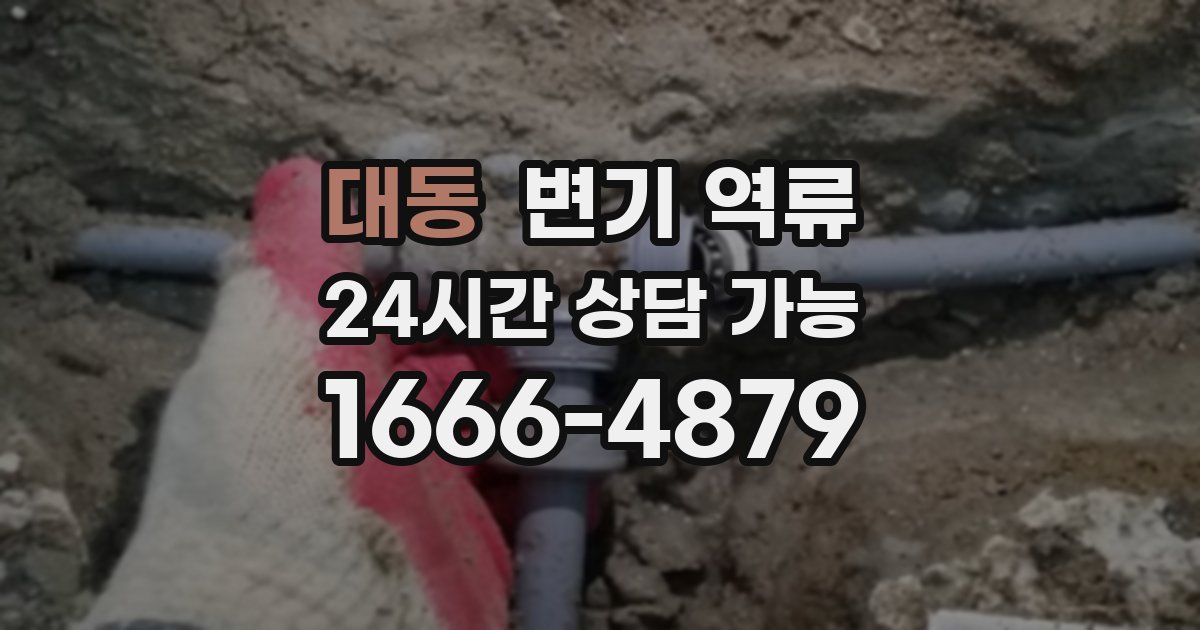 대동 변기 역류