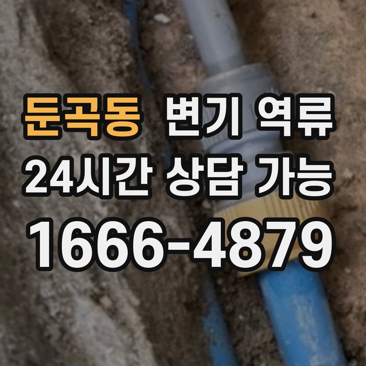 둔곡동 변기 역류