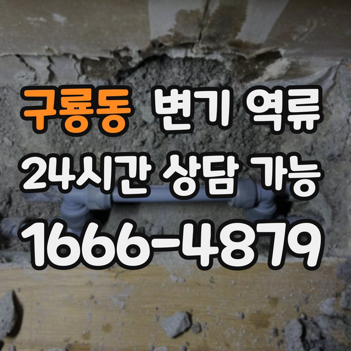 구룡동 변기 역류