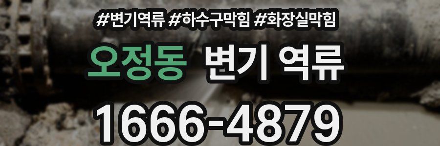 오정동 변기 역류