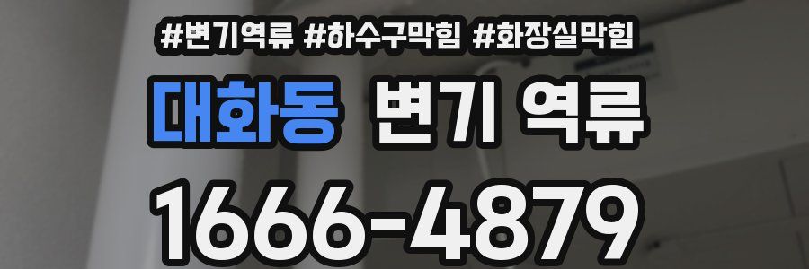 대화동 변기 역류