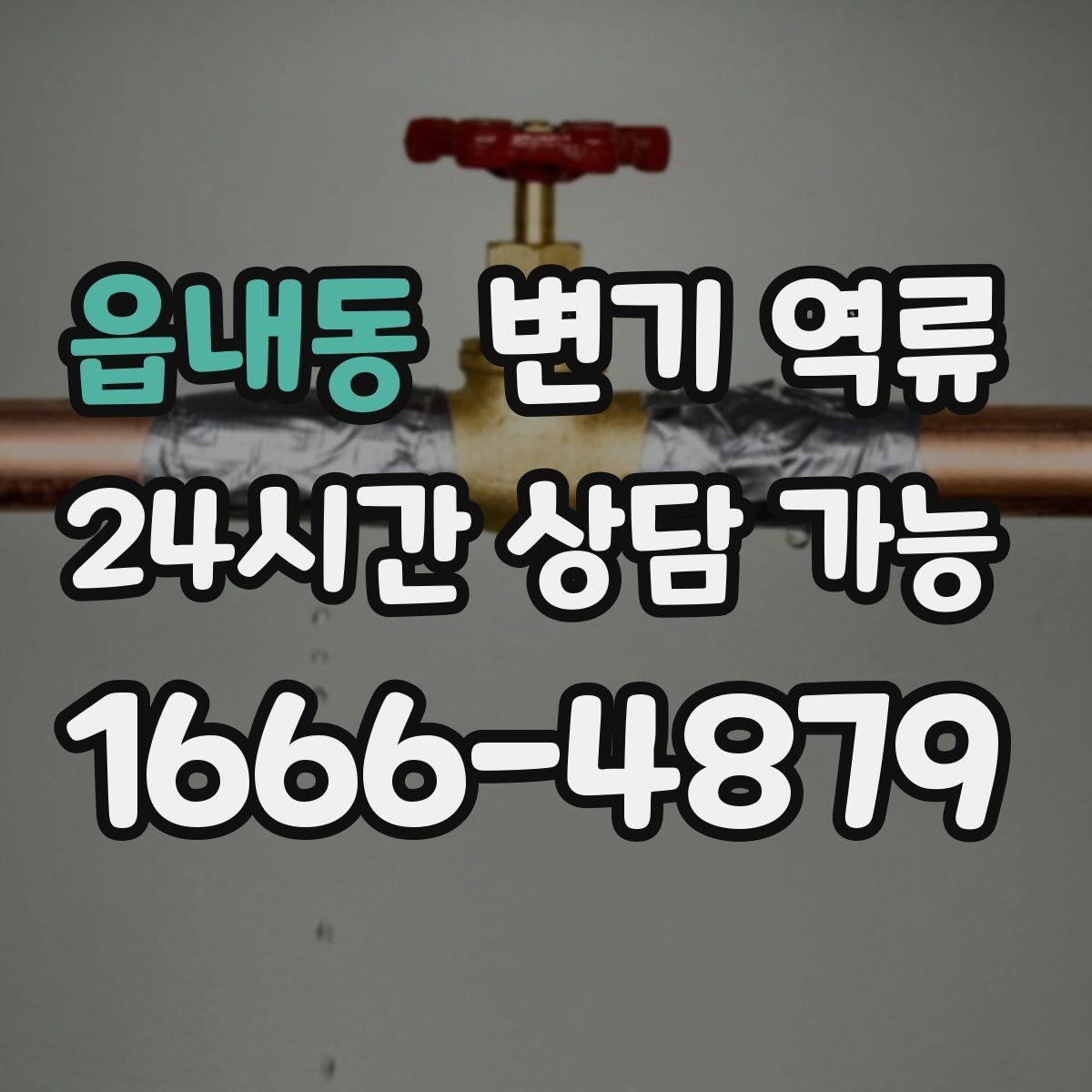 읍내동 변기 역류 셀프로 해결이 어려운 기준을 한 번에 정리