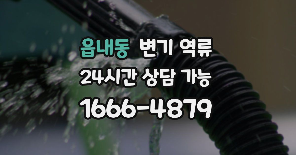 읍내동 변기 역류