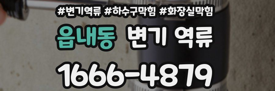 읍내동 변기 역류