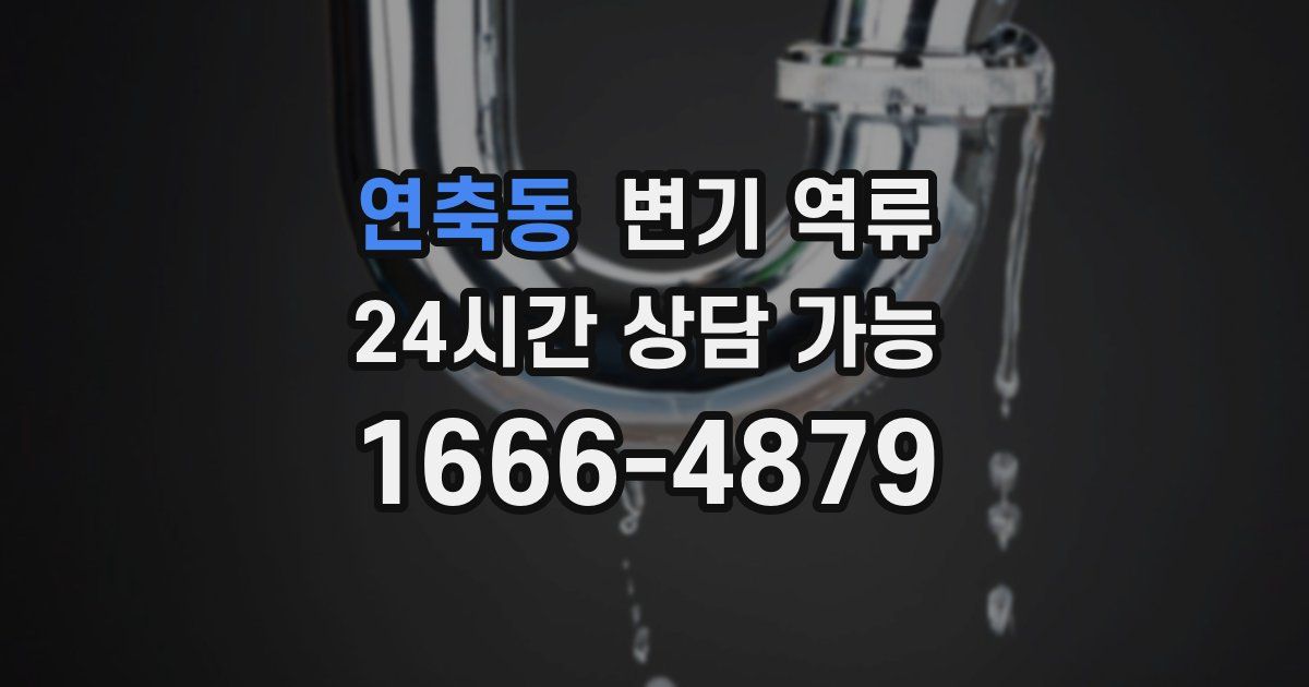 연축동 변기 역류