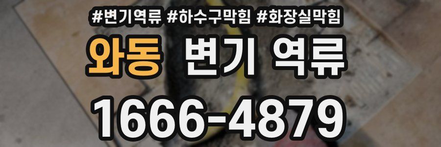 와동 변기 역류