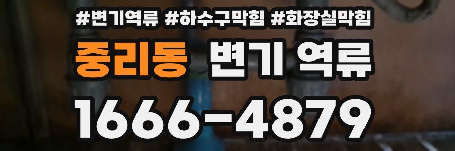중리동 변기 역류