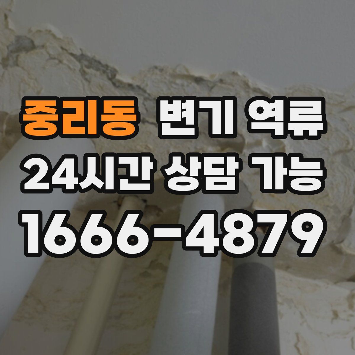 중리동 변기 역류