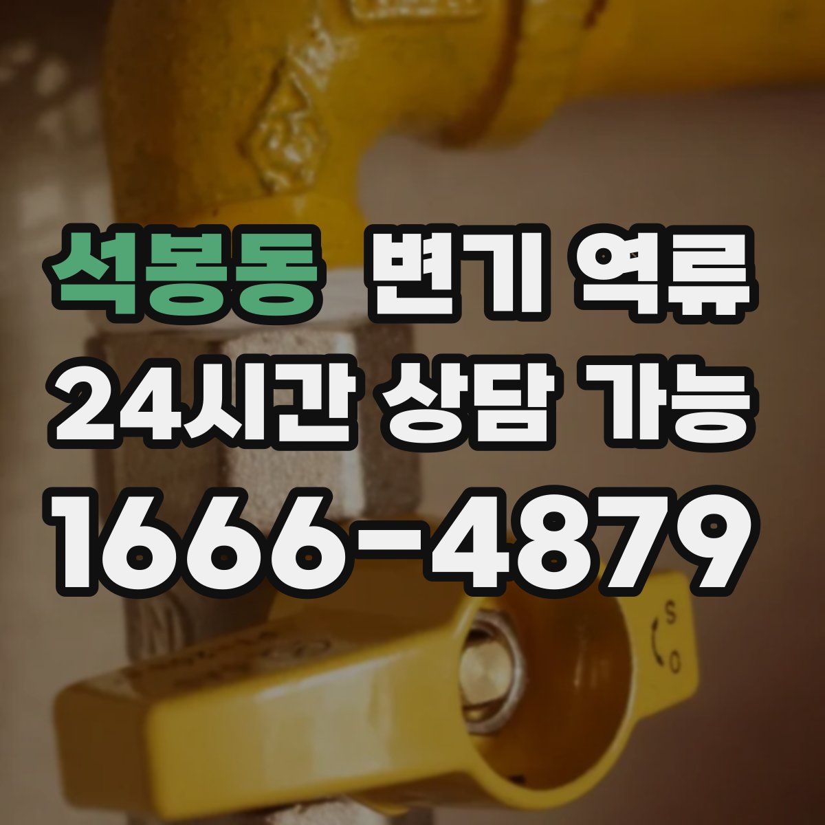 석봉동 변기 역류