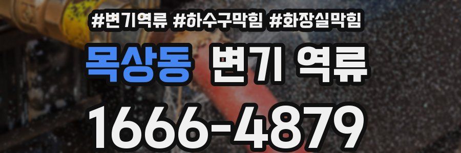 목상동 변기 역류