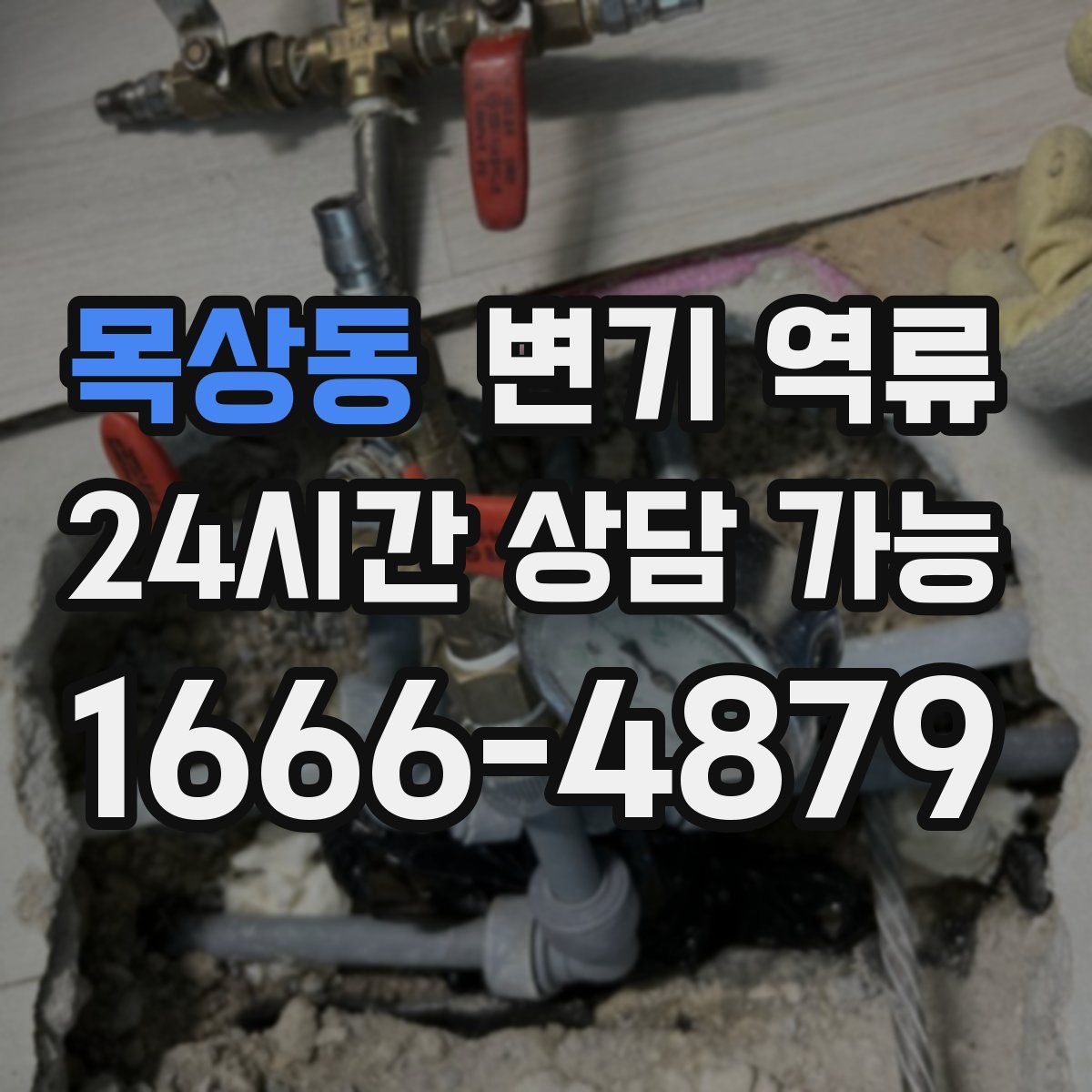 목상동 변기 역류