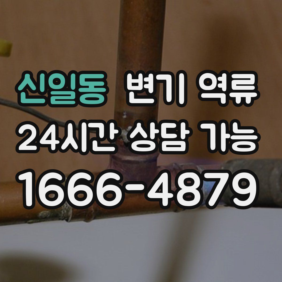 신일동 변기 역류