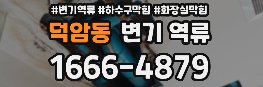 덕암동 변기 역류