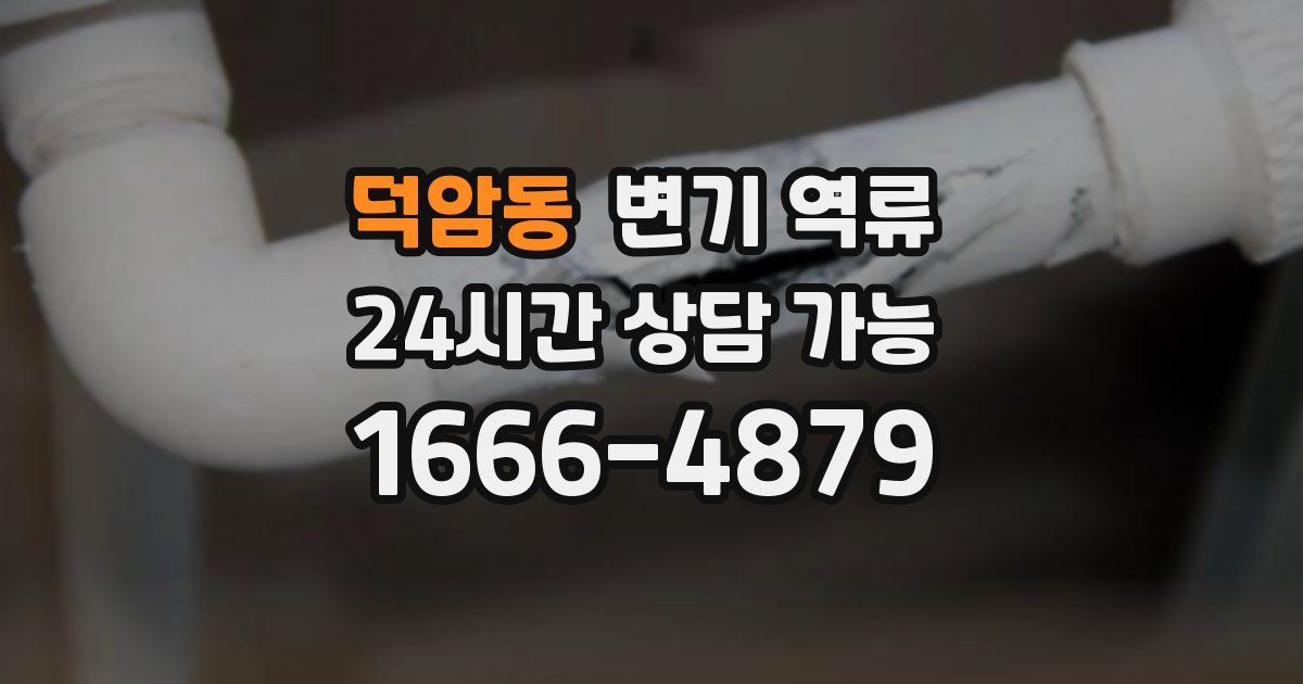 덕암동 변기 역류