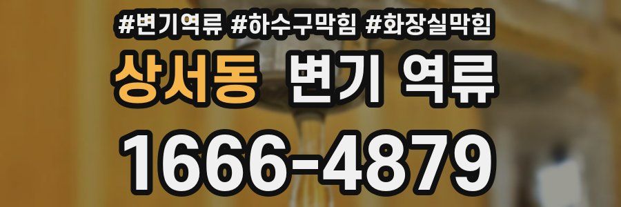 상서동 변기 역류