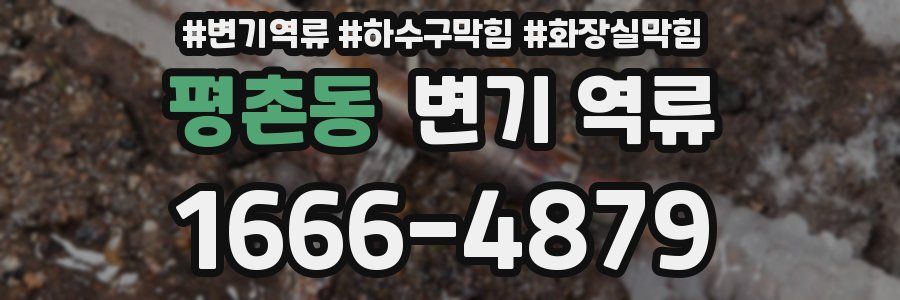 평촌동 변기 역류