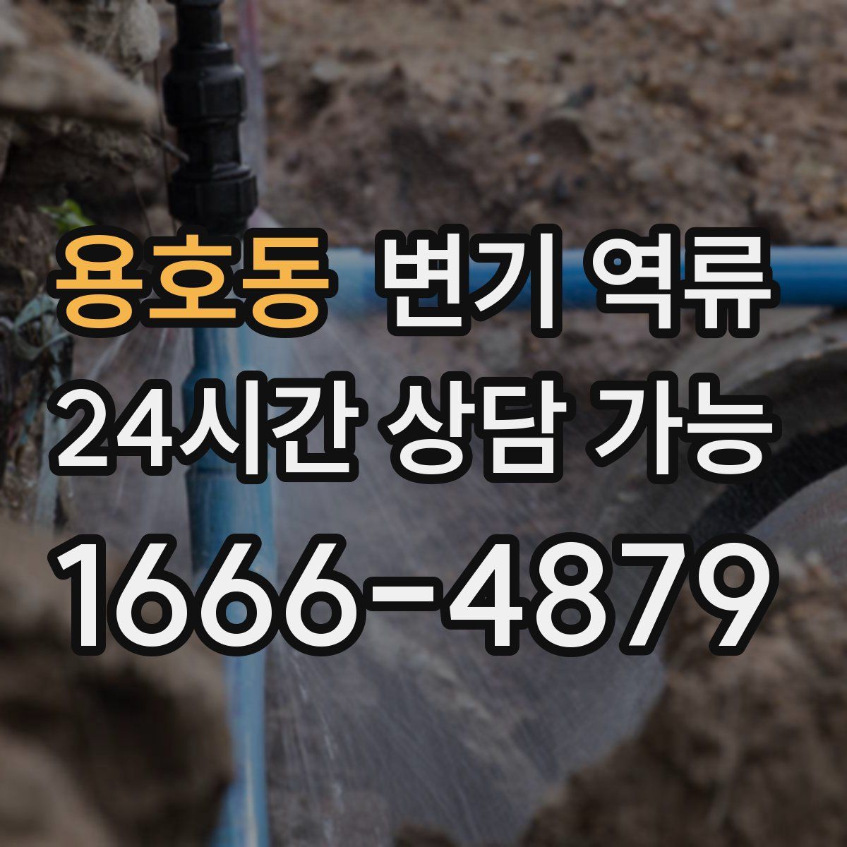 용호동 변기 역류