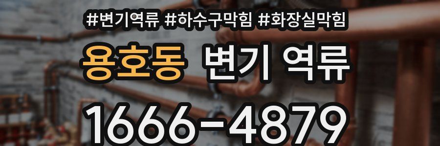 용호동 변기 역류