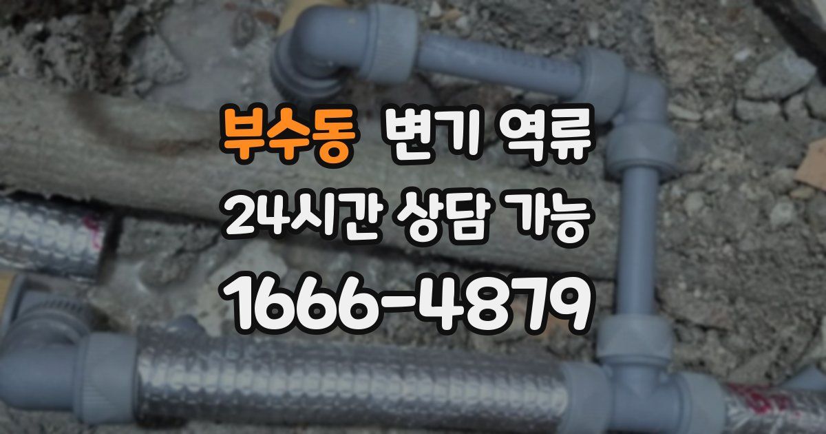 부수동 변기 역류