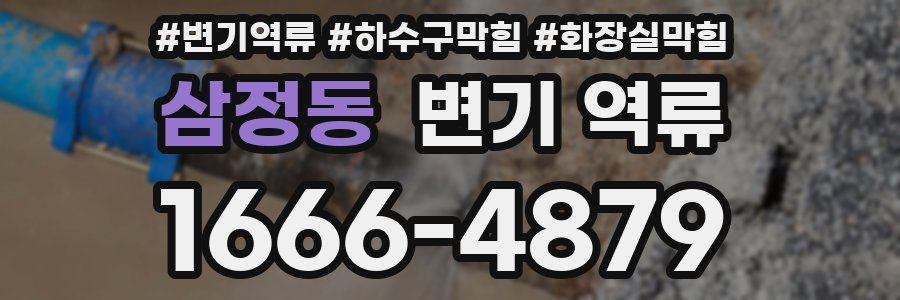 삼정동 변기 역류