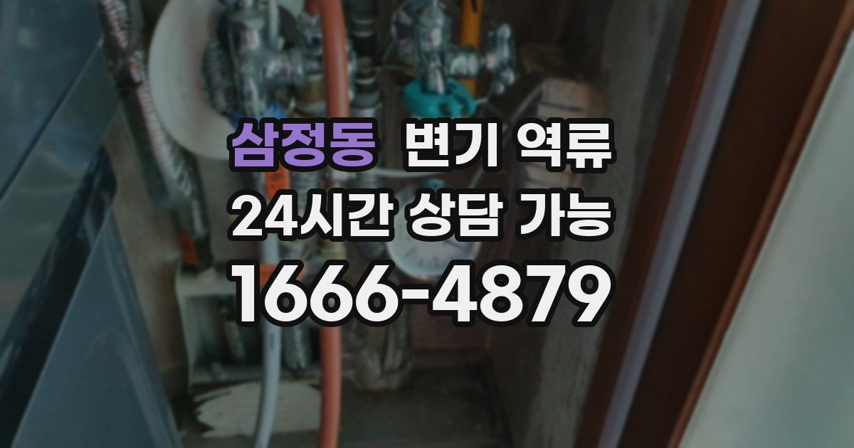 삼정동 변기 역류