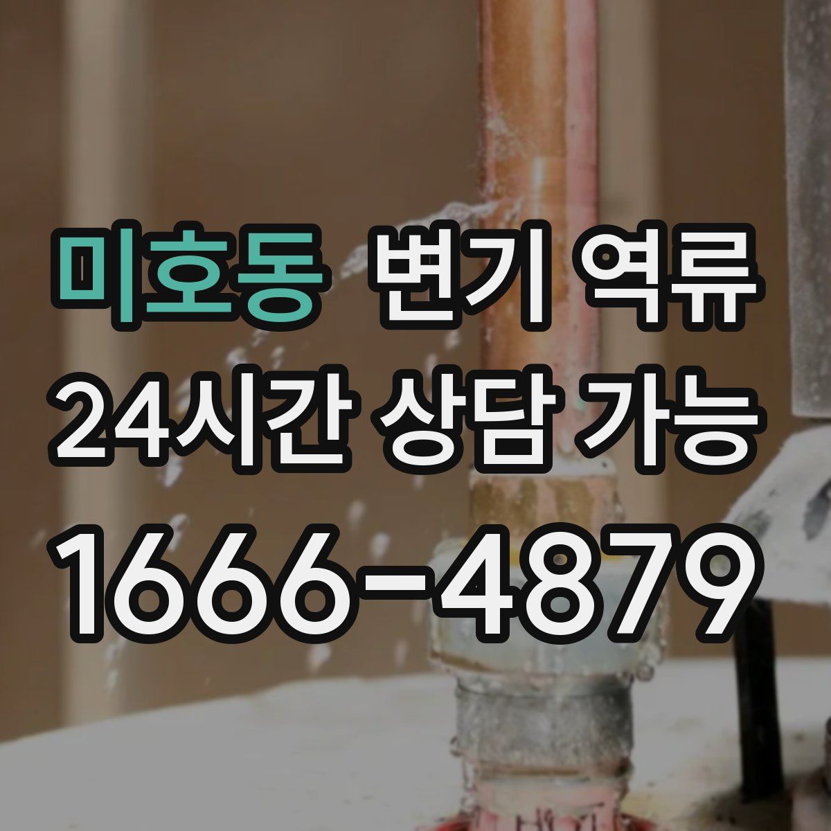 미호동 변기 역류