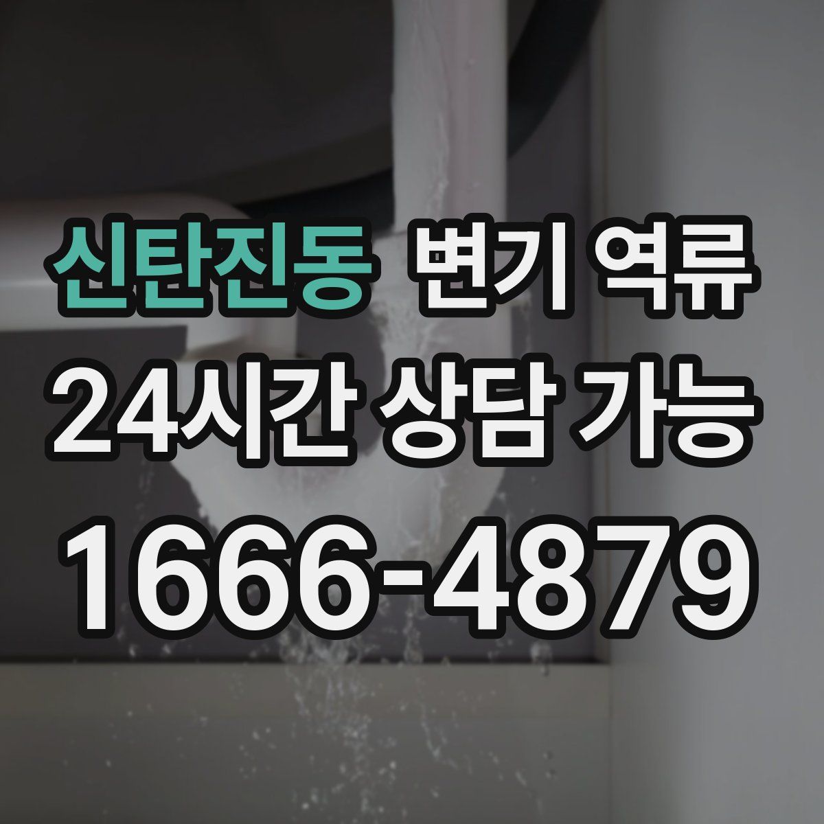 신탄진동 변기 역류